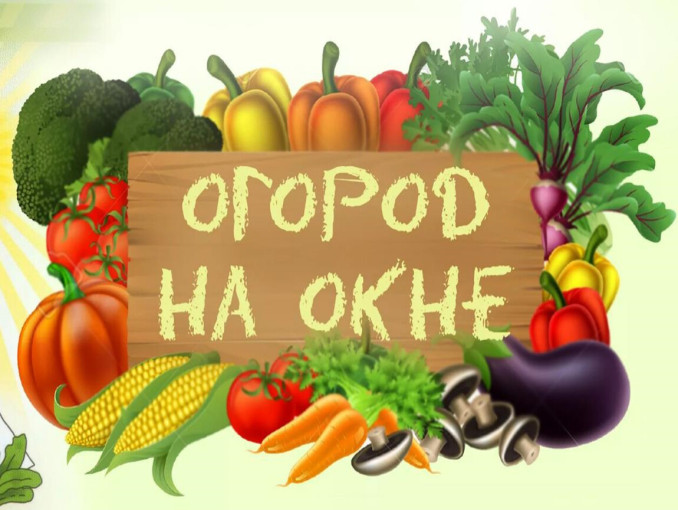 Смотр-конкурс среди всех участников образовательных отношений «Весенний огород на окне» Смотр-конкурс среди всех участников образовательных отношений «Весенний огород на окне».